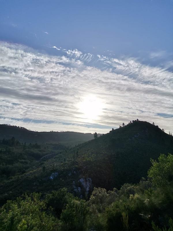 To Let commercial Property for Rent in Uniondale Western Cape